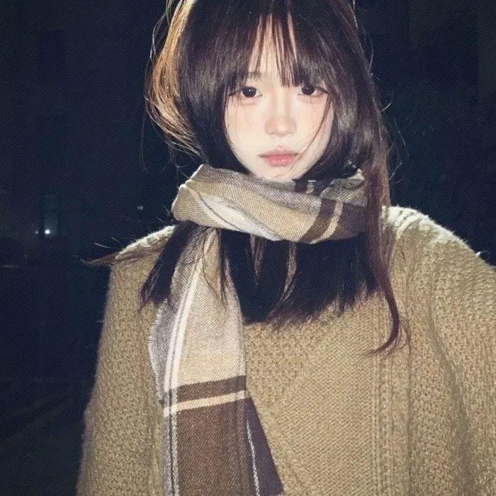 蝙蝠侠：高谭骑士